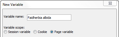 New Variable Dialog